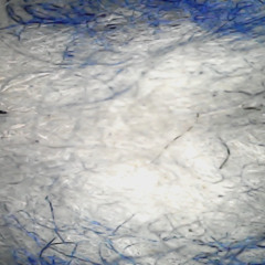 SHAKE