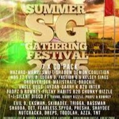 Grooverider w/ Nutcracka & TNT @ Summer Gathering 2015