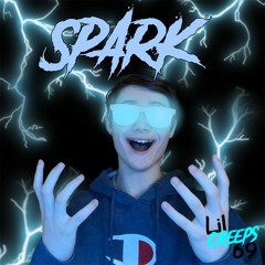 Spark (Feat. EVERGREEN$)