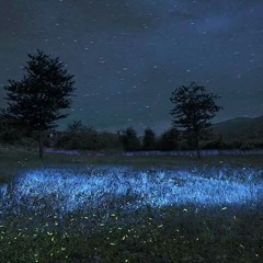 stars