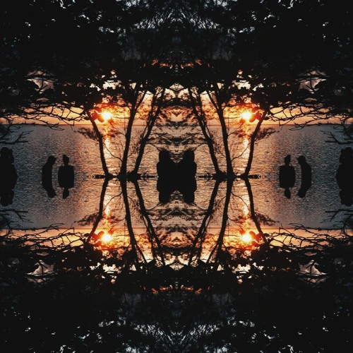Equilibrium - 10.10.20