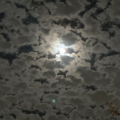 SMKHUNCHO xYOU RIGHT