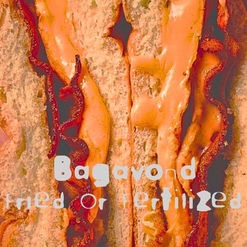 Fried Or Fertilized (Bacon, Egg, & Cheese-Salt, Pepper, Catchin' Feelings) (Free DL)