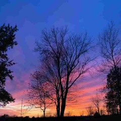 Resolution.Self Identification