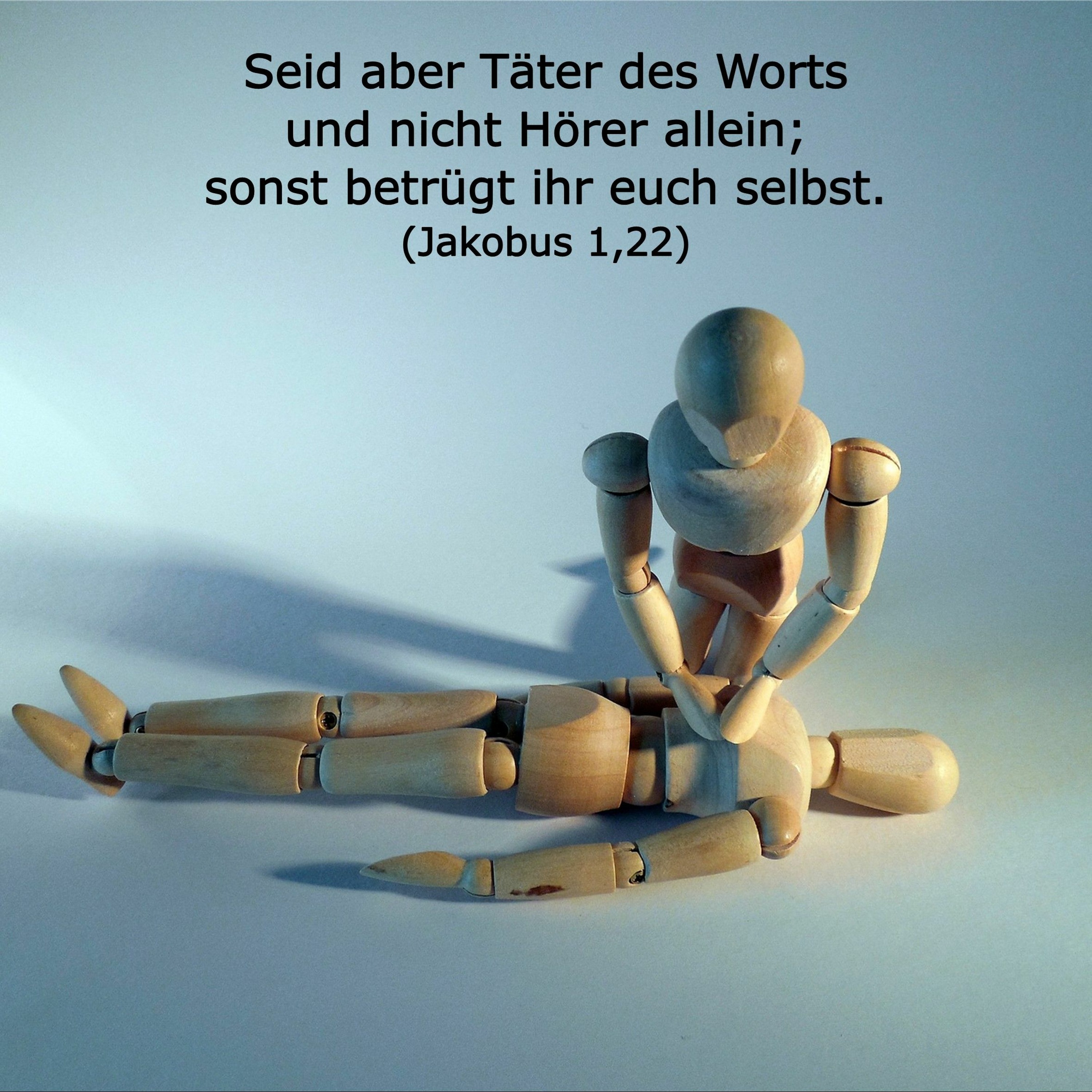 In einem Jahr durch die Bibel