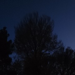 The Day That I Fell For You