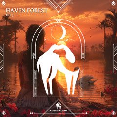 DIL J - Haven Forest [Cafe De Anatolia]