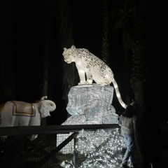 finding comfort in small gestures