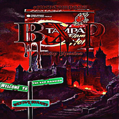 BXP Domicile ($tr4uss Mixx)