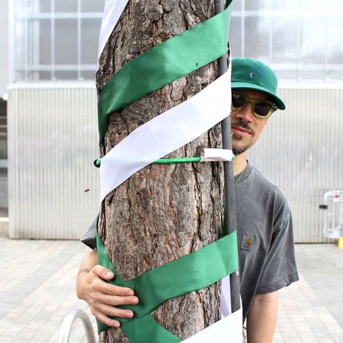 Alexander Nut 100824