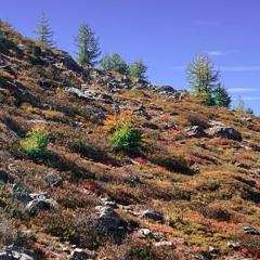 Owelle on EchoBox Radio - Takover Dee Dee's Picks - 23.04.2025