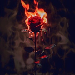 𝕱𝖎𝖗𝖊 𝕭𝖚𝖗𝖓𝖎𝖓𝖌 2024 𝕷𝖆𝖙𝖊𝖘𝖙,🫴🏿💨🥵