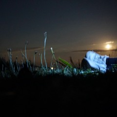 knsample1