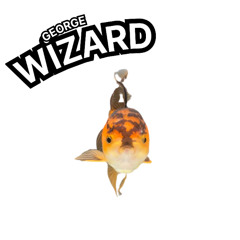george wizard
