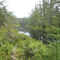 I dont like you calling