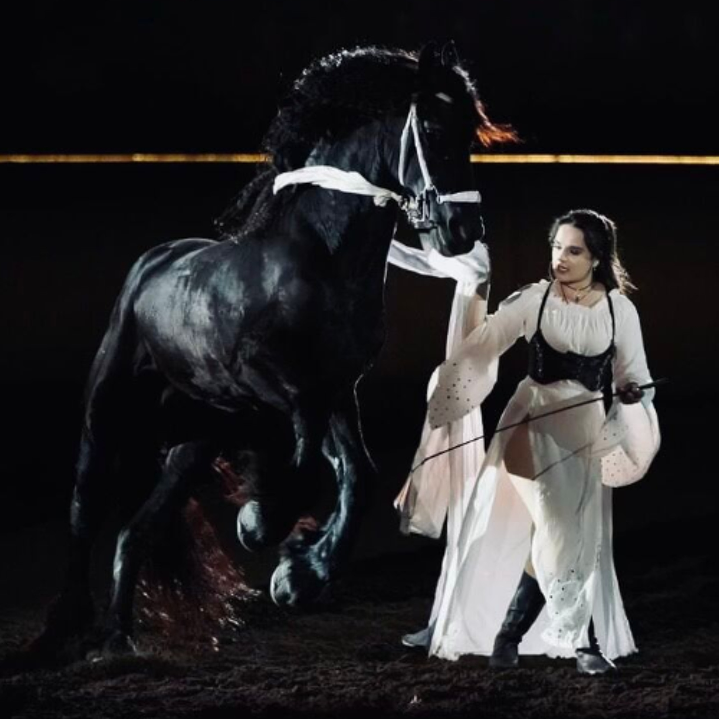 The Horse Talk Show: Ibericon Performers, African Safari & More episode artwork