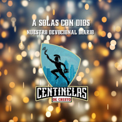 Reflexiones Diarias 14 Noviembre 2025