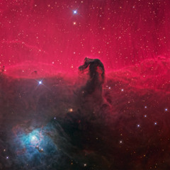 Barnard 33