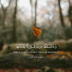 وعنده مفاتح الغيب لا يعلمها إلا هو!