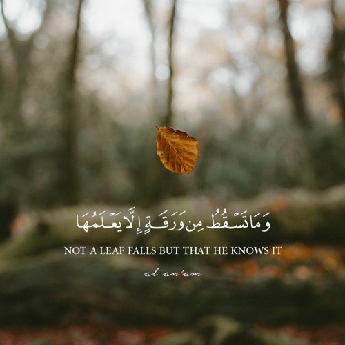 وعنده مفاتح الغيب لا يعلمها إلا هو!