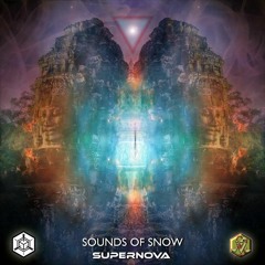 Reflected Entropy  - Sounds Of Snow Meets Multipsycle
