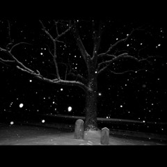 Ithinkofyouwhenisleep