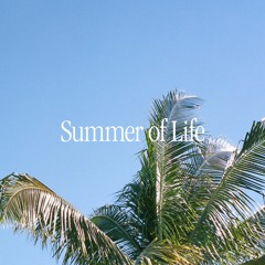 Summer of Life (Mix)