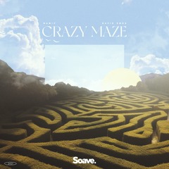 Namic & David Emde - Crazy Maze