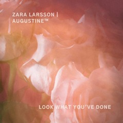 Look What You've Done – Zara Larsson (Male Cover)