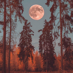 FULL MOON SEPTEMBER