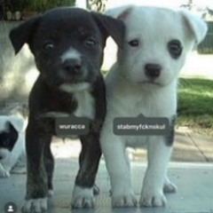 amaya aki x wuracca - my blood (prod. kashjadas)