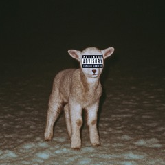 robins on the windowsill