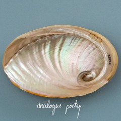 sei a casa | analogue poetry EP