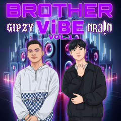 BROTHER VIBE VOL.1 ( NR3IN-Gipzy ) Mashup pack