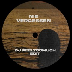 Glasperlenspiel - Nie Vergessen (DJ FEELTOOMUCH Edit)