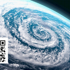 Hurricane Protection Starts at the Window: Avoid Thousands in Damage This Season