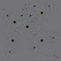 [OP007] Yasei - Hanakaze