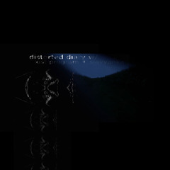 distorted diary w/ slavyanka