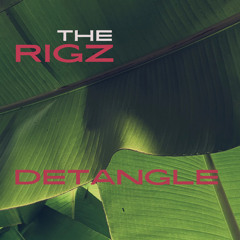 The Rigz - Detangle