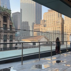 Goyard Bag (archive)