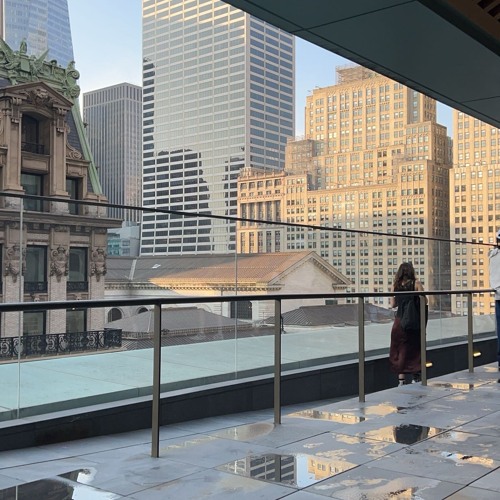 Goyard Bag (archive)