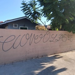 Chin check( freestyle) FT.STONEDPITGEE