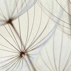 Horst Evers - Der kleine Satellit