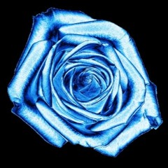 Blue Rose Theme