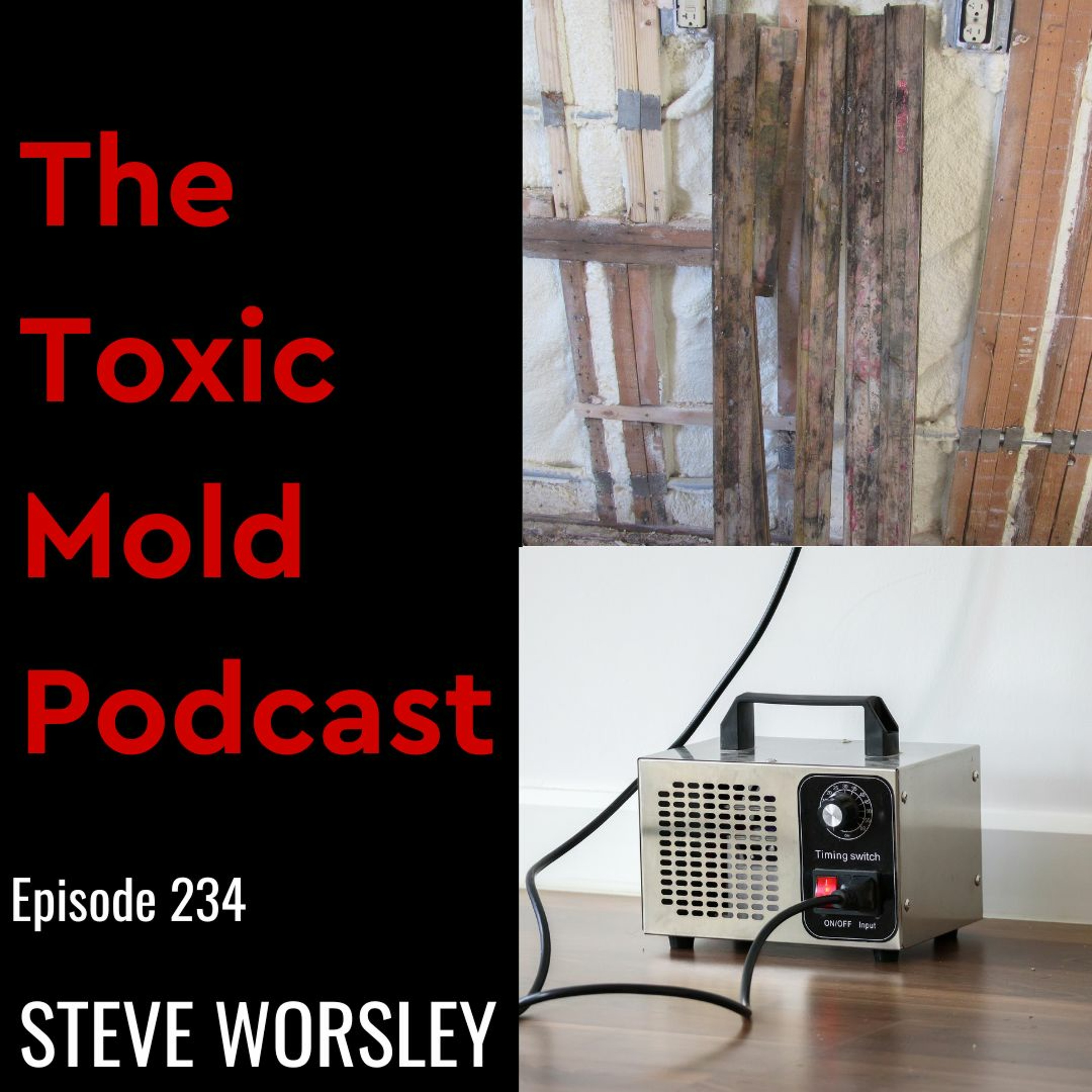 The Toxic Mold Podcast