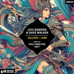 Luis Damora & Dave Walker - Luna (HAFT Remix) [Univack]