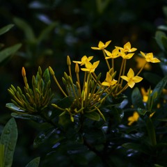 Don't eat the Hot Pot Oil