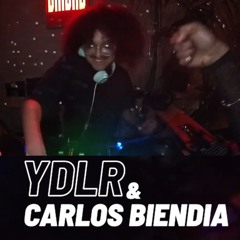 YDLR & Friends: December Closing Set 2024