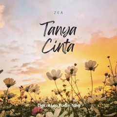 TANYA CINTA - EXAMPLE LAGU ZEA