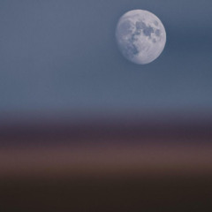 Pool Moon